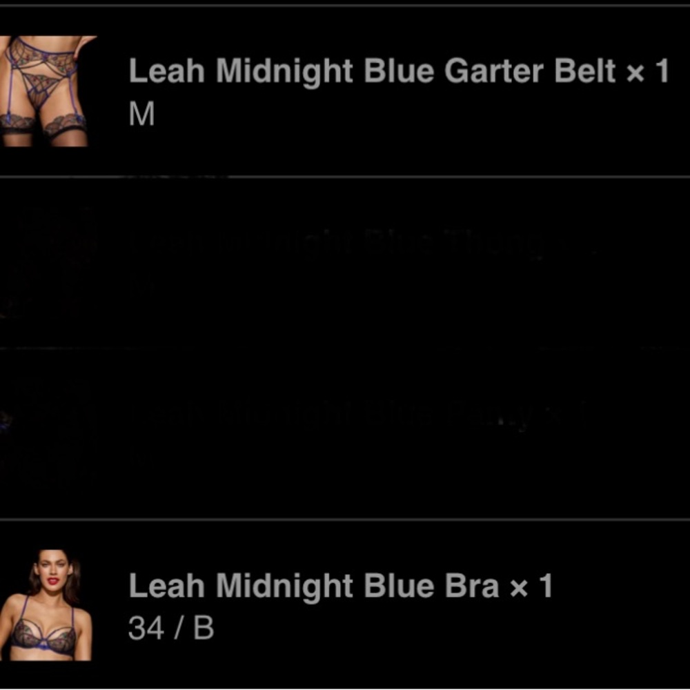 Honey Birdette Leah ! 34B , M, S, Black and Blue Embroidered Bra Set Christmas! - Picture 4 of 15
